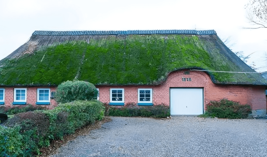 The Moss Boss LLC